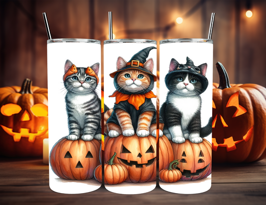 CATS AND PUMPKINS TUMBLERS