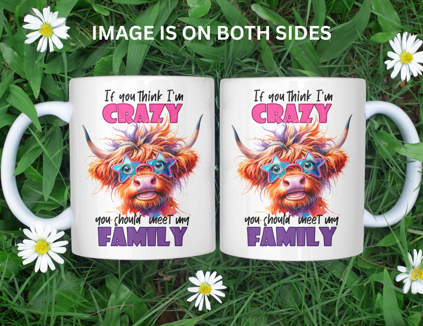 IF YOU THINK I'M CRAZY MUG