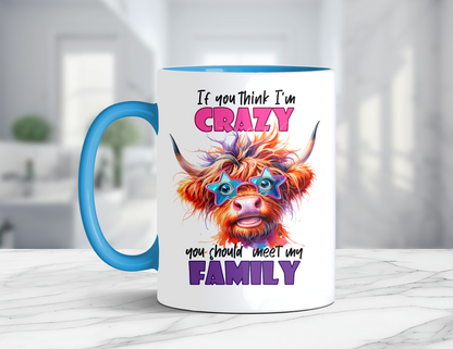 IF YOU THINK I'M CRAZY MUG