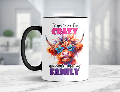 IF YOU THINK I'M CRAZY MUG